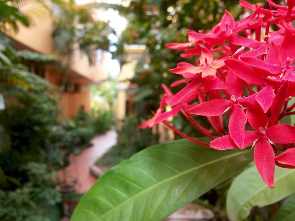 Robam Inn Siem Reap Exterior photo